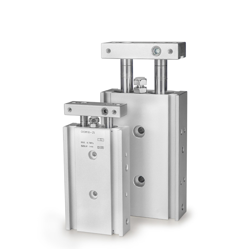 CXS Series Dual Rod Cylinder