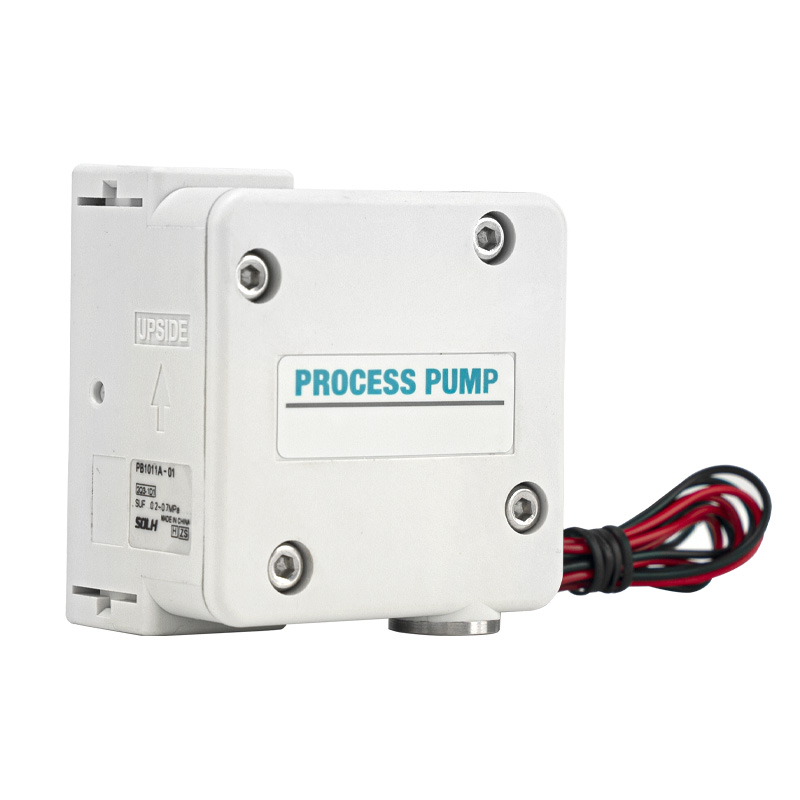 PB1011 Process Pump